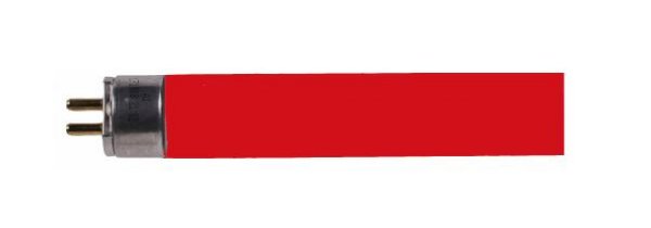 Osram HE 14W 60 T5 549mm rood Red